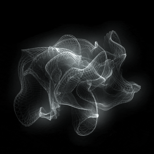 Phase 7: Consolidation Phase Animation