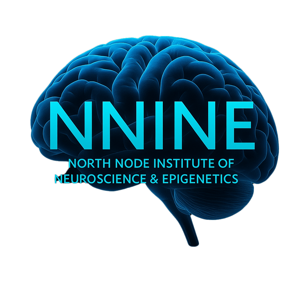 NNINE Logo
