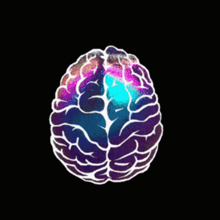 Phase 4: Baseline Neuroimaging Animation
